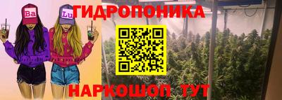 хмурый Обь