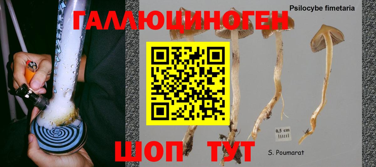Псилоцибиновые грибы прущие грибы  купить наркоту  Сызрань  Псилоцибиновые грибы мухоморы  Вход с VPN 