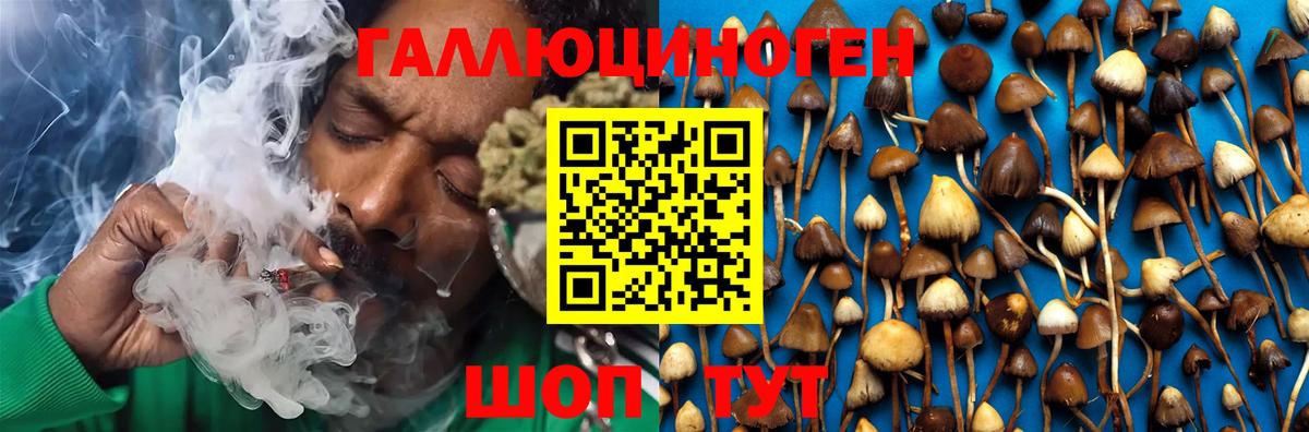 Псилоцибиновые грибы ЛСД Сызрань